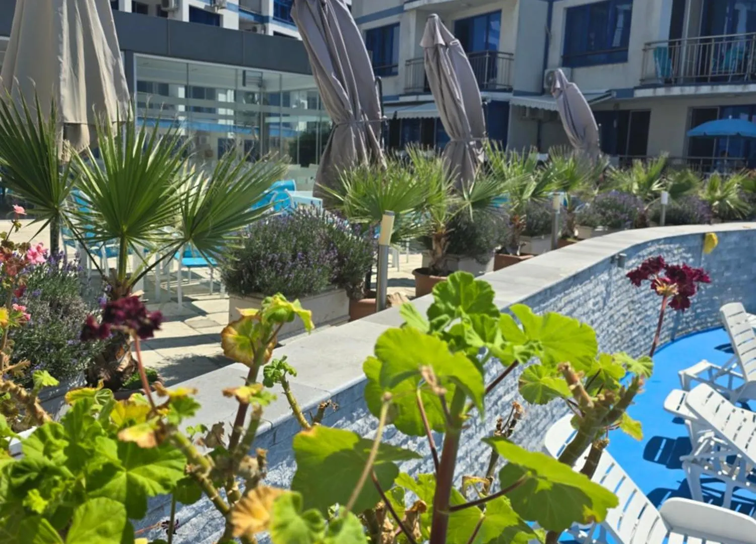 Pomorie Blue Bay Seaview Apartment Bulgaria